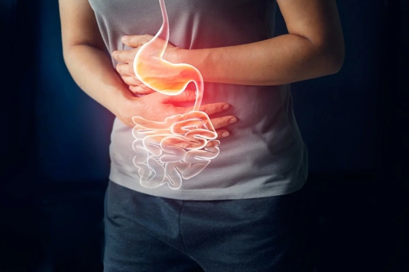 The Relationship Between Gastrointestinal Issues and Mental Health