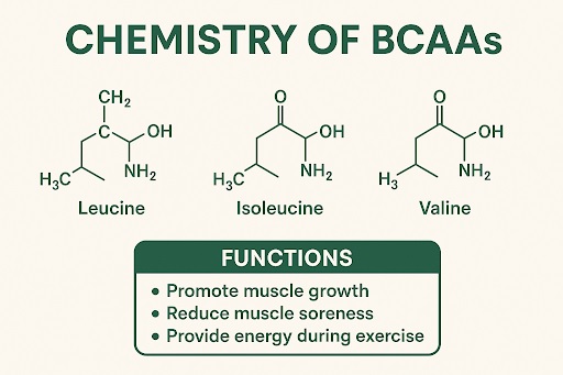 chemistry of bcaa
