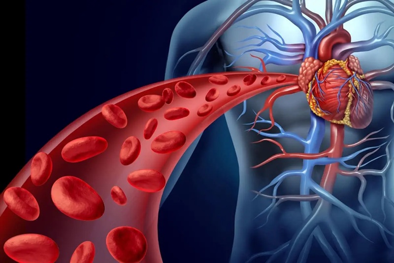 Natural Ways to Improve Circulation: Daily Habits That Reduce the Risk of Varicose Veins