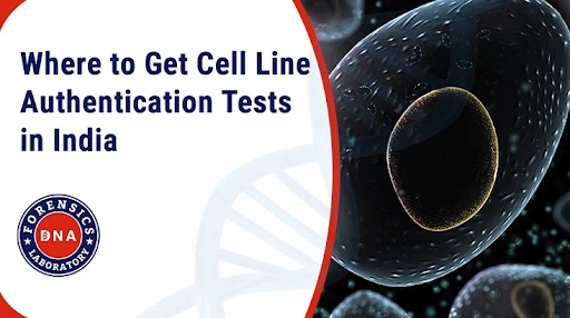 Cell Line Authentication Test in India
