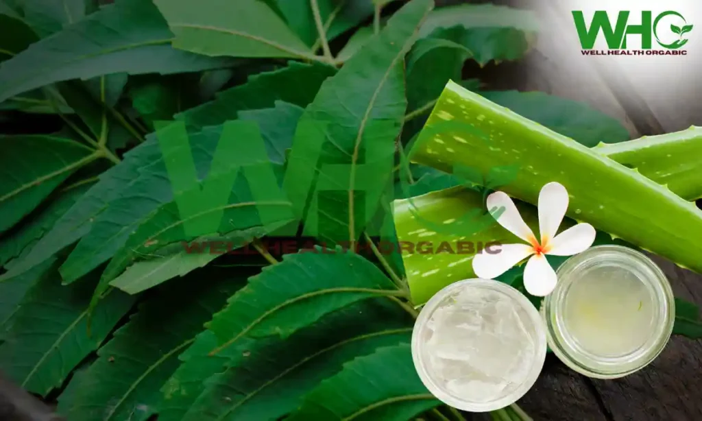 Wellhealthorganic.com: Neem and Aloe Vera Juice