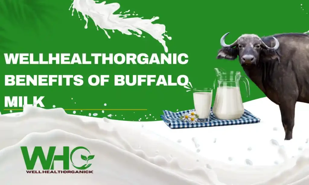 Wellhealthorganic Benefits of Buffalo Milk