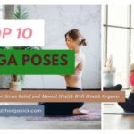 Yoga Poses for Stress Relief and Mental Health Well Health Organic 