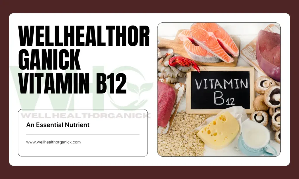 WellHealthOrganick Vitamin B12